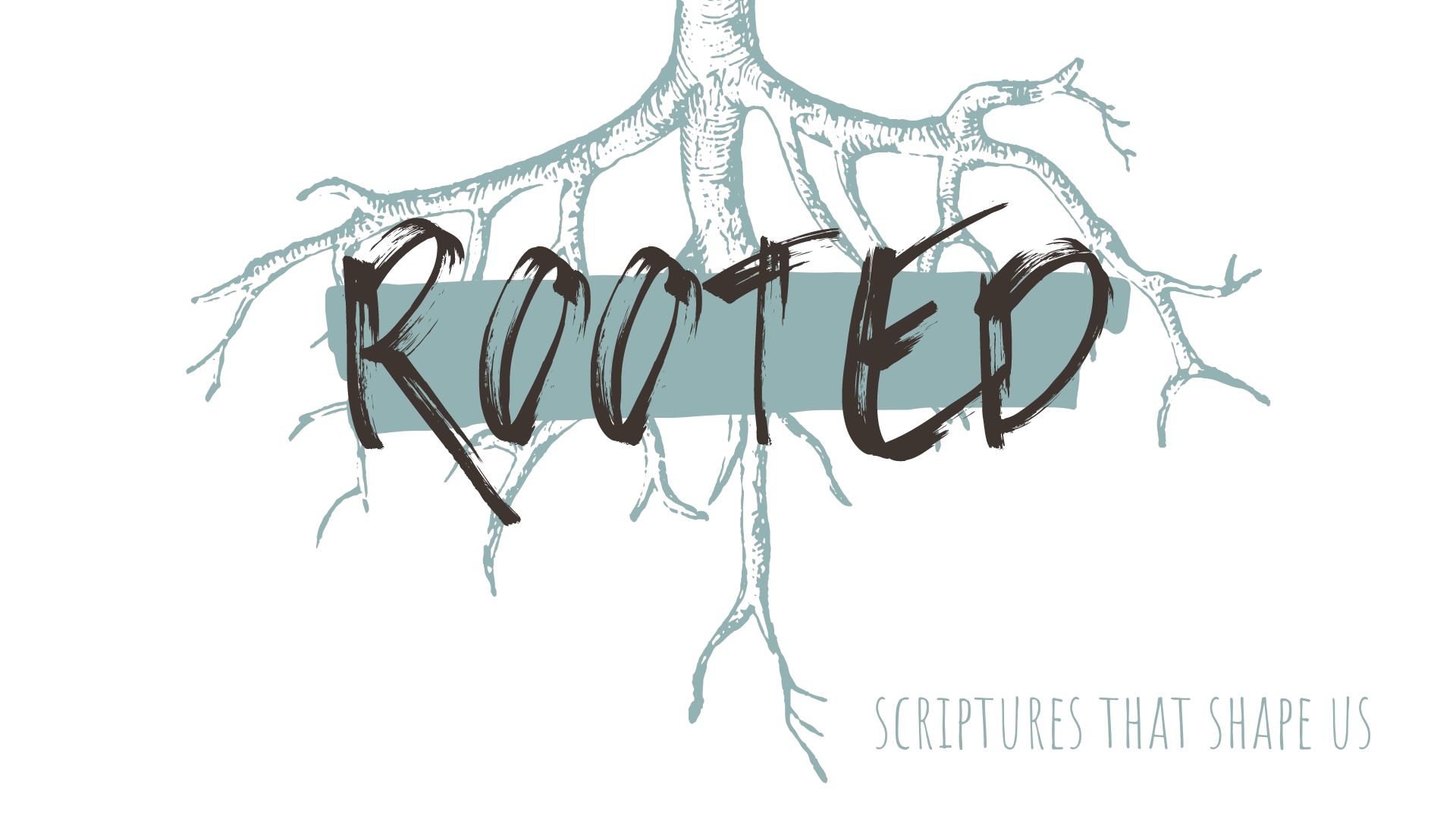 Rooted
